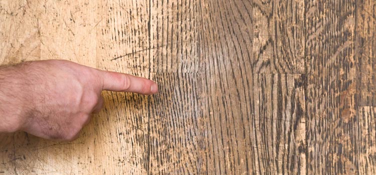 Wood Door Scratch Repair in Englewood